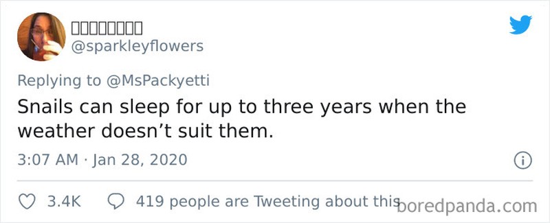 Informasi bisa kita dapatkan dari mana saja termasuk media sosial. Berikut ini adalah fakta unik yang dibagikan netizen.