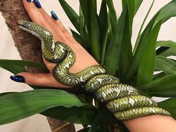 Ilusi Optik yang Mencengangkan Mata