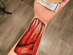 Ilusi Optik yang Mencengangkan Mata