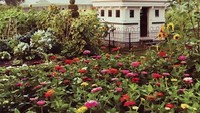 Dikelilingi kebun bunga, netizen ini bangun rumah kecil untuk kandang ayam peliharannya. Hasilnya Instagrammable banget! Foto: Boredpanda