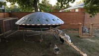 Terobsesi dengan UFO, netizen yang satu ini niat buat kandang ayam dengan konsep UFO yang keren abis. Foto: Boredpanda