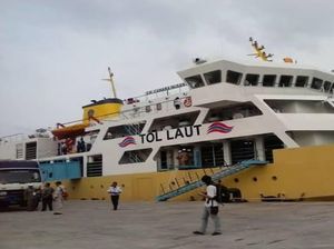 Bantu Pemda Dumai, Kapal Kemenhub Bantu Angkut 550 Ekor Sapi dari NTT