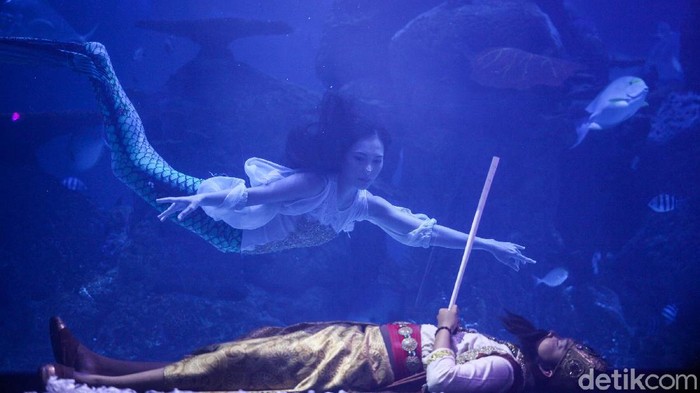 Keseruan Teater Duyung Ibu Kota di Dalam Mal Putri duyung memang identik dengan tokoh dalam dongeng. Tapi, traveler bisa menjumpai mereka di Jakarta Aquarium. Penasaran?