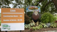 Dalam pameran ini, pengunjung bisa melihat di papan, berapa lama waktu membangun patung serta jumlah balok LEGO yang digunakan Sean. (San Antonio Zoo)
