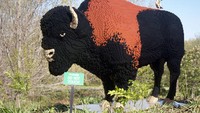 Kamu bisa bayangkan bukan bagaimana susahnya membangun prepilka hewan dari jutaan LEGO? Butuh ketelitian, kesebaran ekstra dan tentu waktu yang tidak sebentar. (San Antonio Zoo)
