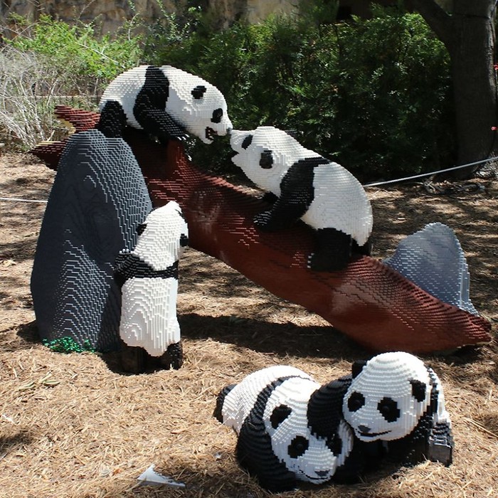 San Antonio Zoo