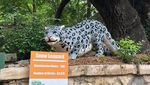 Foto: Binatang di Sini Dibuat Dari Jutaan LEGO