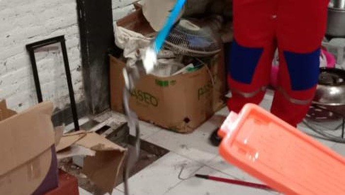 Seekor ular kobra menyusup ke warung soto di Klaten