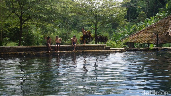 Telaga Cisaladah memiliki air yang sangat jernih. Tanpa alas keramik, di dasar kolam ditumbuhi semacam rumput yang bisa tumbuh di dalam air. Ada juga bebatuan yang sudah terendam sejak dulu sehingga agak licik saat dipijak. Ada juga belasan ekor ikan mas beragam ukuran yang sengaja dipelihara warga. (Whisnu Pradana/detikcom) Telaga Cisaladah memiliki air yang sangat jernih. Tanpa alas keramik, di dasar kolam ditumbuhi semacam rumput yang bisa tumbuh di dalam air. Ada juga bebatuan yang sudah terendam sejak dulu sehingga agak licik saat dipijak. Ada juga belasan ekor ikan mas beragam ukuran yang sengaja dipelihara warga. (Whisnu Pradana/detikcom)