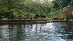 Foto: Kolam Alami yang Asyik di Bandung Barat