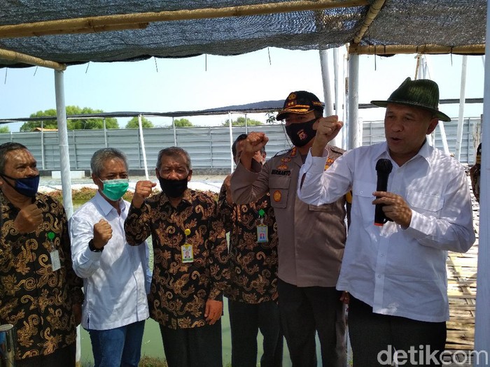 Teten Masduki