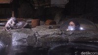 Usai PSBB transisi, aquarium indoor terbesar di Indonesia ini sudah dapat dikunjungi lho.