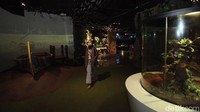Dalam masa PSBB Transisi Jakarta Aquarium ini buka kembali dengan menerapkan protokol kesehatan.