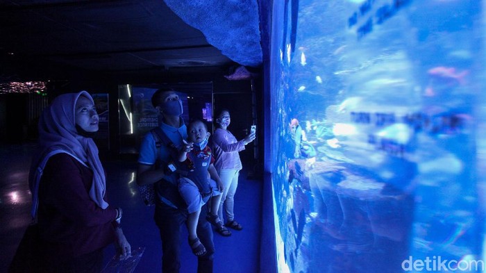 Sudah ada rencana wisata weekend ini? Aquarium indoor terbesar di Indonesia sudah dibuka lho. Yuk, intip foto-fotonya!