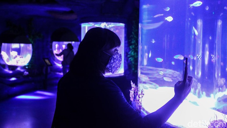 Yuk, Cobain Sensasi Wisata Biota Laut di Dalam Mal Sudah ada rencana wisata weekend ini? Aquarium indoor terbesar di Indonesia sudah dibuka lho. Yuk, intip foto-fotonya!