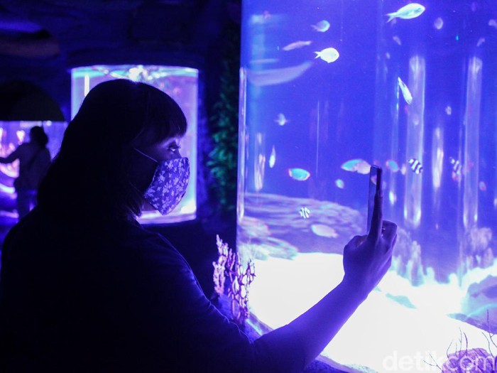 Sudah ada rencana wisata weekend ini? Aquarium indoor terbesar di Indonesia sudah dibuka lho. Yuk, intip foto-fotonya!