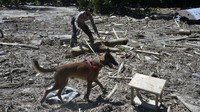 Anggota Kepolisian bersama anjing pelacak mencari korban yang tertimbun material lumpur banjir bandang di Desa Radda, Kabupaten Luwu Utara, Sulawesi Selatan, Minggu (19/7/2020).