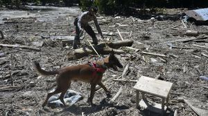 Anjing Pelacak Ikut Bantu Cari Korban Banjir Luwu Utara