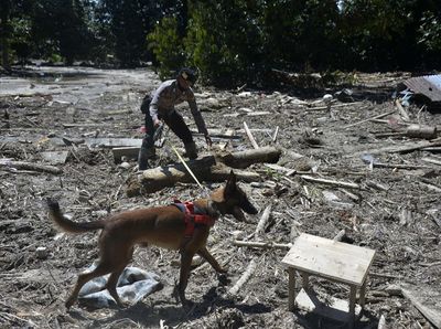 Anjing Pelacak Ikut Bantu Cari Korban Banjir Luwu Utara
