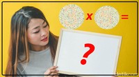 Jika lolos tes buta warna, seharusnya mudah menemukan jawabannya.