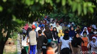 Setidaknya ada tiga hal yang menjadi pertimbangan atas keputusan mengenai perpanjangan PSBB transisi DKI fase I. Anies mengatakan jumlah tes di Jakarta dalam seminggu terakhir meningkat. Mantan Menteri Pendidikan dan Kebudayaan itu juga menjelaskan positivity rate di Jakarta meningkat dalam sepekan terakhir. Kata Anies, positivity rate di DKI berada di atas ambang aman WHO.  Selain itu, ada tren peningkatan penggunaan tempat tidur di unit rawat inap (bed occupancy rate). Peningkatan juga terjadi pada reproduction number (Rt) di Jakarta.