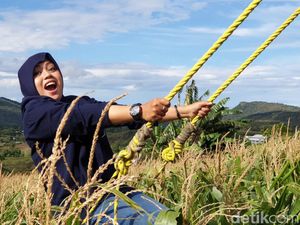 Dulu Buat Balap Liar, Sekarang Buat Foto-foto Instagram