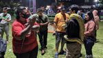 Melihat Lagi Keramaian Alun-alun Ciamis Saat Malam Minggu
