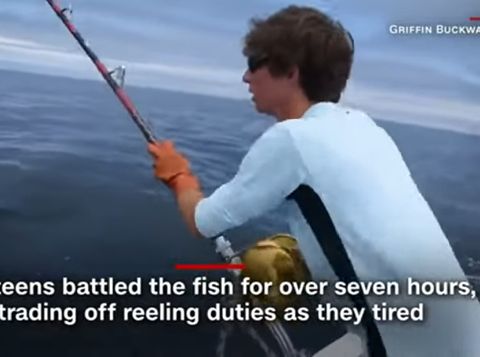 memancing ikan tuna