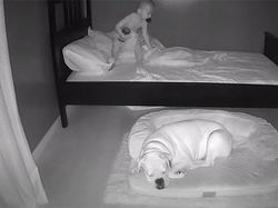 Gemes! Aksi Anak Kecil Tidur Bareng Anjingnya Terekam CCTV