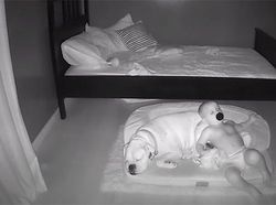 Gemes! Aksi Anak Kecil Tidur Bareng Anjingnya Terekam CCTV