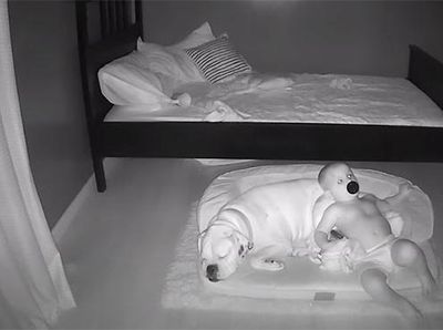Gemes! Aksi Anak Kecil Tidur Bareng Anjingnya Terekam CCTV