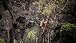 Seru! Aksi Lompat Bebas di Pulau Palawan Filipina