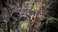 Para pelompat harus menaiki tangga bambu untuk sampai di lokasi pelompatan.  
