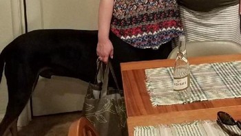 Seperti manusia bertubuh anjing ya. (Foto: Brightside)