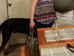 Kumpulan Foto Unik dengan Angle yang Tepat