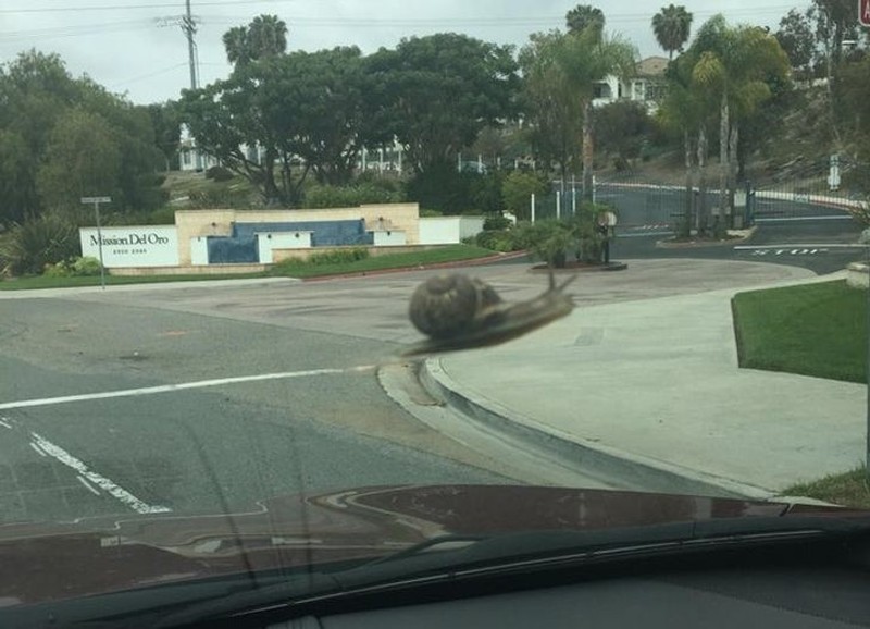 foto lucu angle tepat