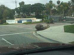 Kumpulan Foto Unik dengan Angle yang Tepat