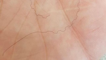 Salah satu rambutnya yang tersangkut di resleting celana dan beginilah bentukannya (Foto: Brightside)