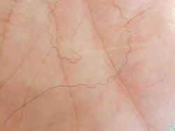 Kumpulan Foto Unik dengan Angle yang Tepat