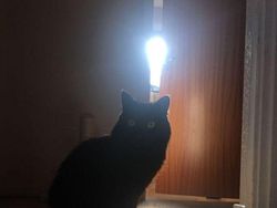 Kumpulan Foto Unik dengan Angle yang Tepat