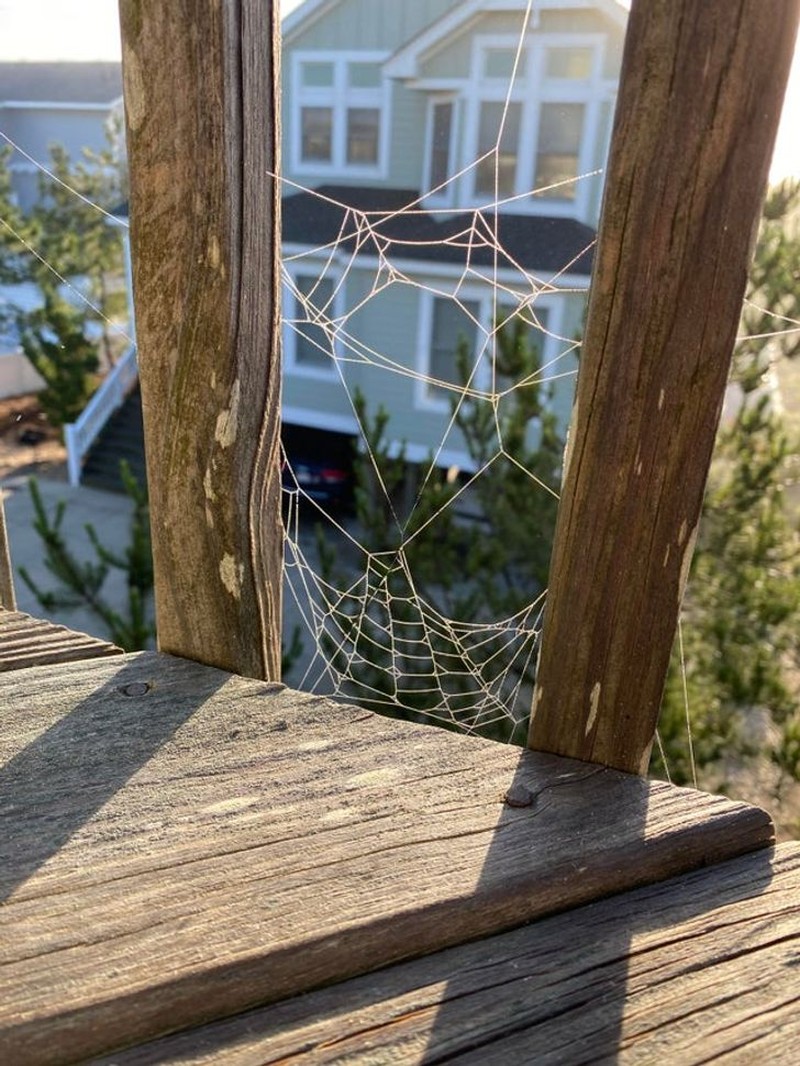 foto lucu angle tepat