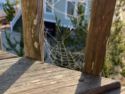 Kumpulan Foto Unik dengan Angle yang Tepat