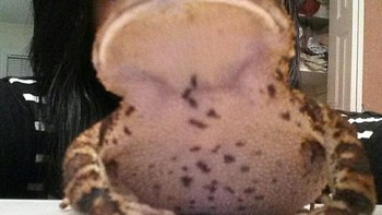 Hii, ada manusia berwajah katak? (Foto: Brightside)