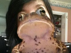 Kumpulan Foto Unik dengan Angle yang Tepat