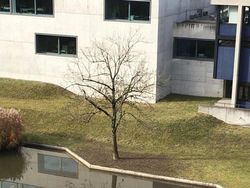 Kumpulan Foto Unik dengan Angle yang Tepat