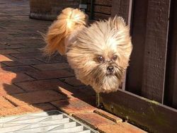 Kumpulan Foto Unik dengan Angle yang Tepat