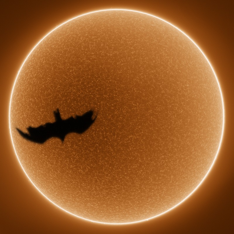 foto lucu angle tepat