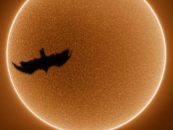 Kumpulan Foto Unik dengan Angle yang Tepat