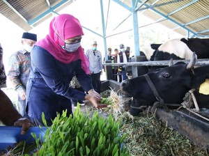 Industri Susu di Jatim Masih Mampu Tumbuh dan Bertahan di Masa Pandemi