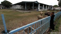 Abdi dalam Keraton Kasunanan Surakarta memantau sejumlah kerbau peliharaan Kraton Kasunan Surakarta di Lapangan Alun-Alun Selatan, Surakarta, Jawa Tengah, Senin (20/7/2020).